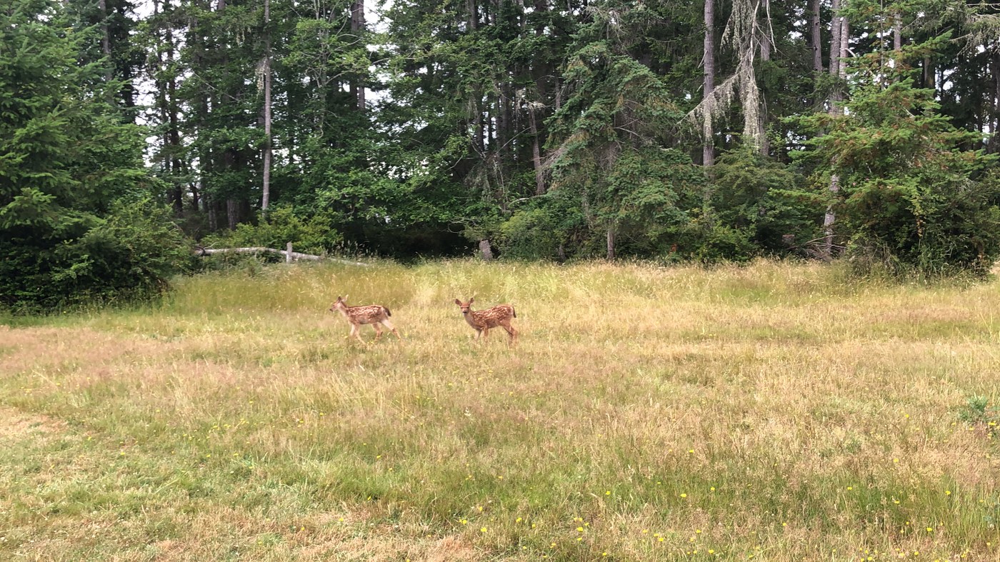 Hope Island Marine State Park — Washington Trails Association